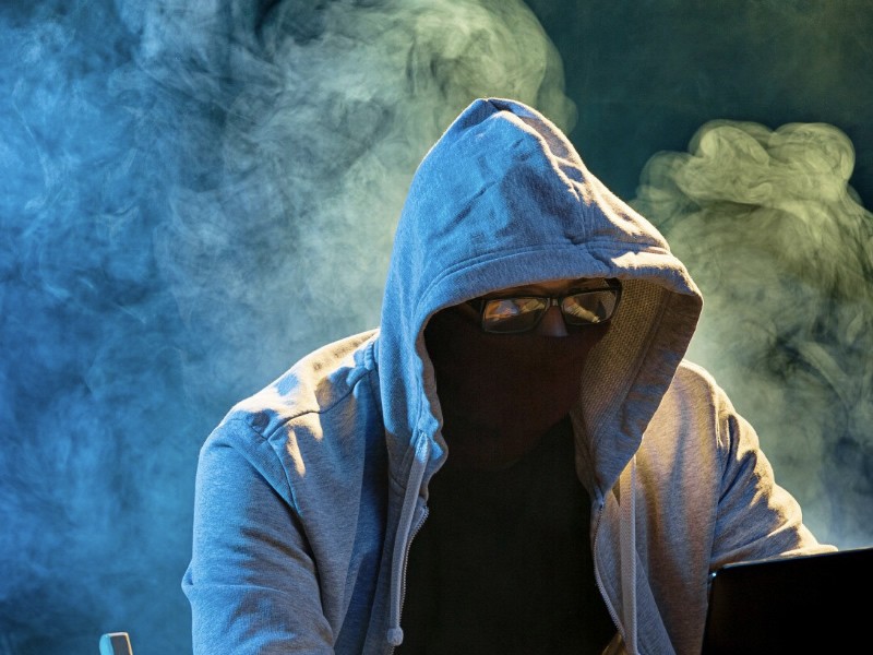 The Devastating Impact of Phishing on Organizations