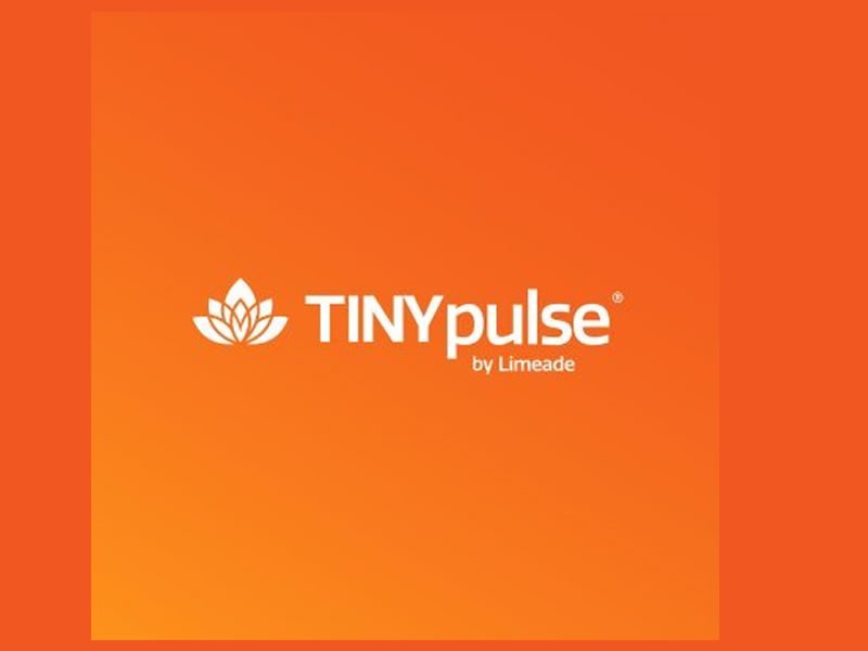 TinyPulse