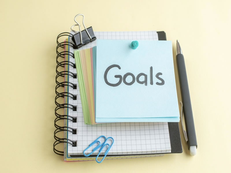 Organizational Goals Examples