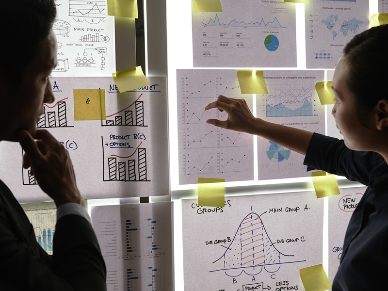 What is Software Development Capacity Planning