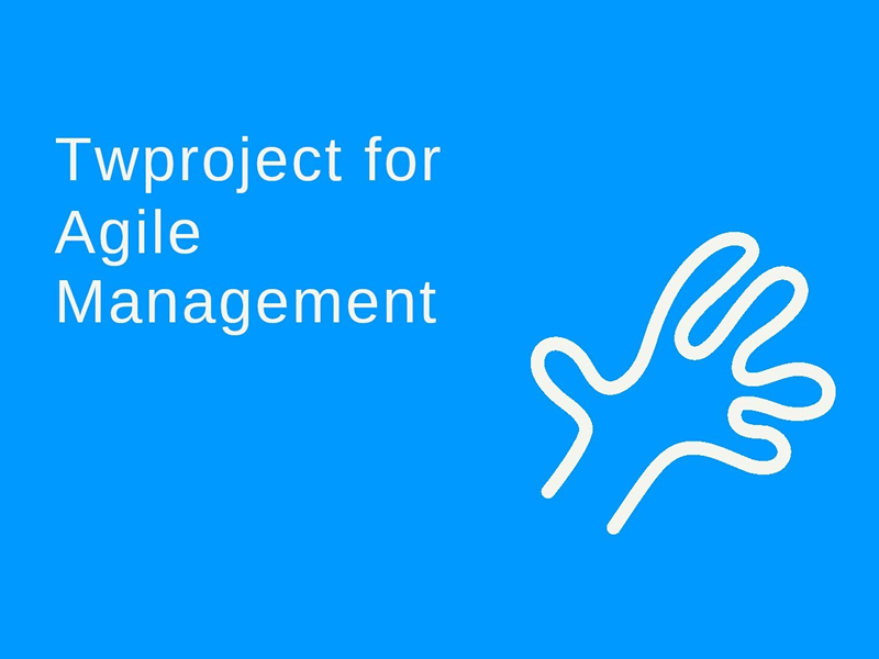 Twproject &ndash; Simplifying Project Management for High-Performance Teams