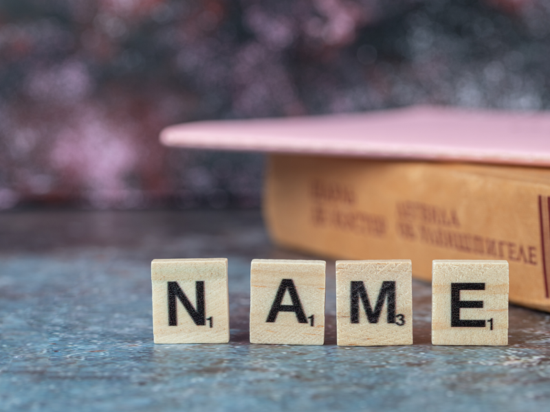 The Role of People Search Engines in Digital Security 