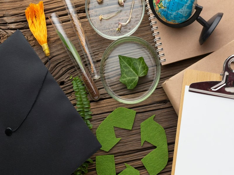 How to achieve supply chain sustainability 