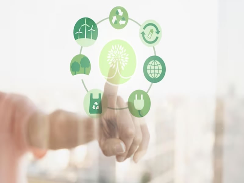 Why is it important Businesses Reduce Their Carbon Footprint